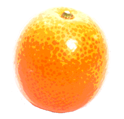 image of big orange!